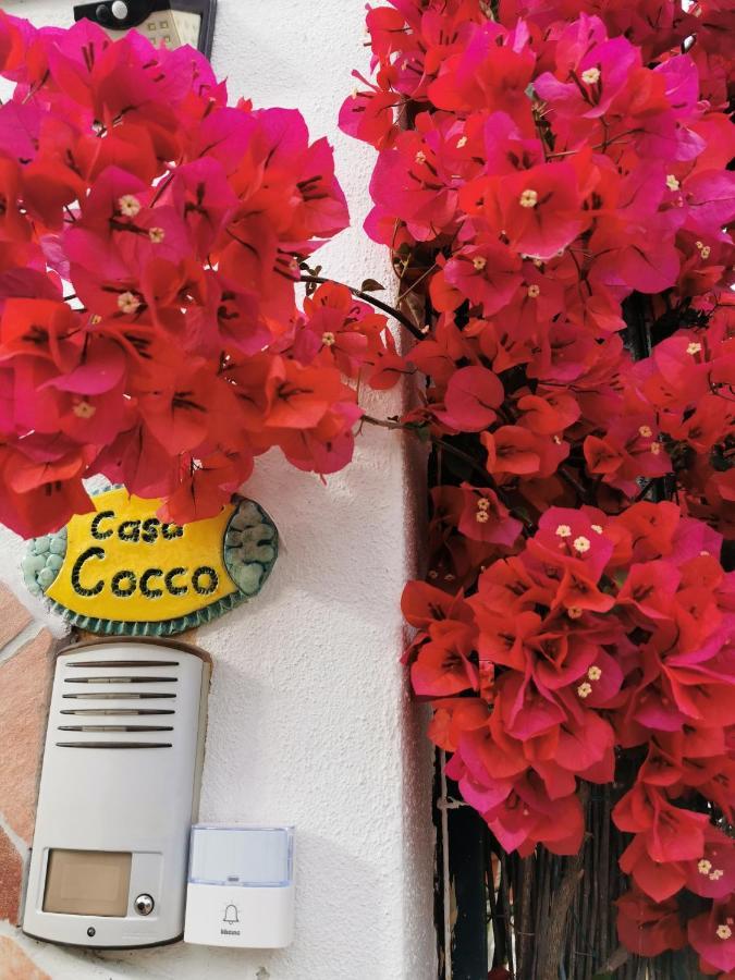 Casa Cocco Lägenhet Sant Isidoro  Exteriör bild