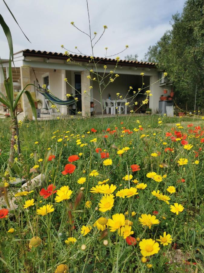 Casa Cocco Lägenhet Sant Isidoro  Exteriör bild